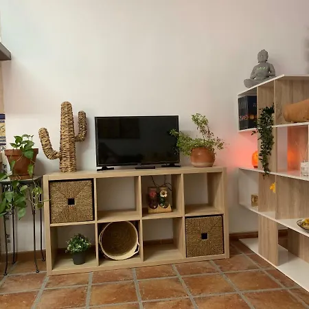 Apartamento Con Terraza En El Albaicin Granada